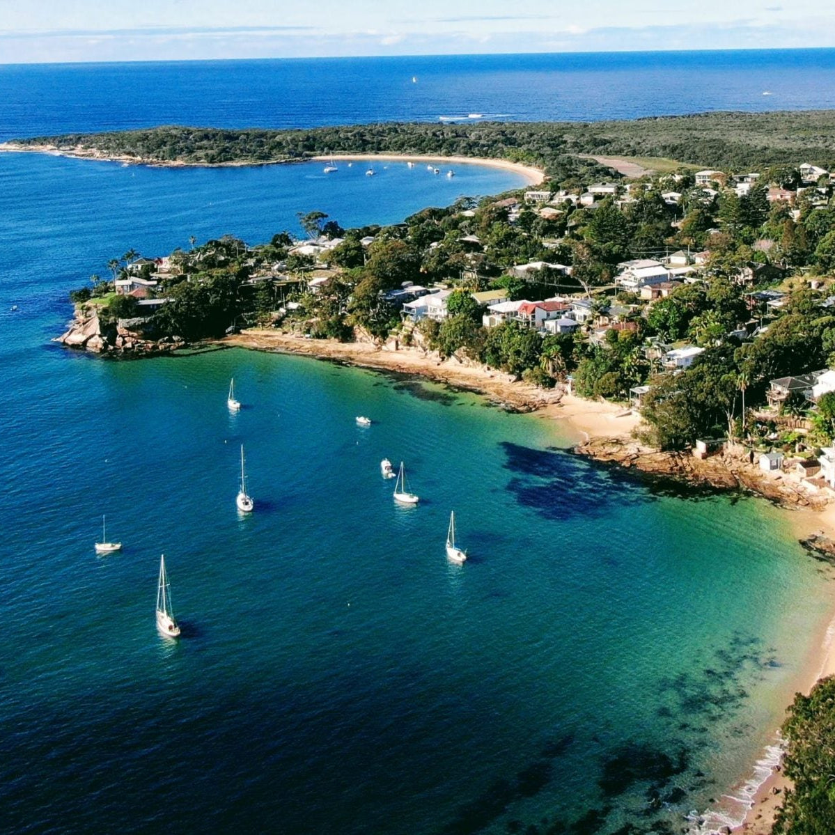 Bush Walk & Swim - Bundeena