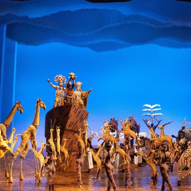 Lion King Theatre Show EOI